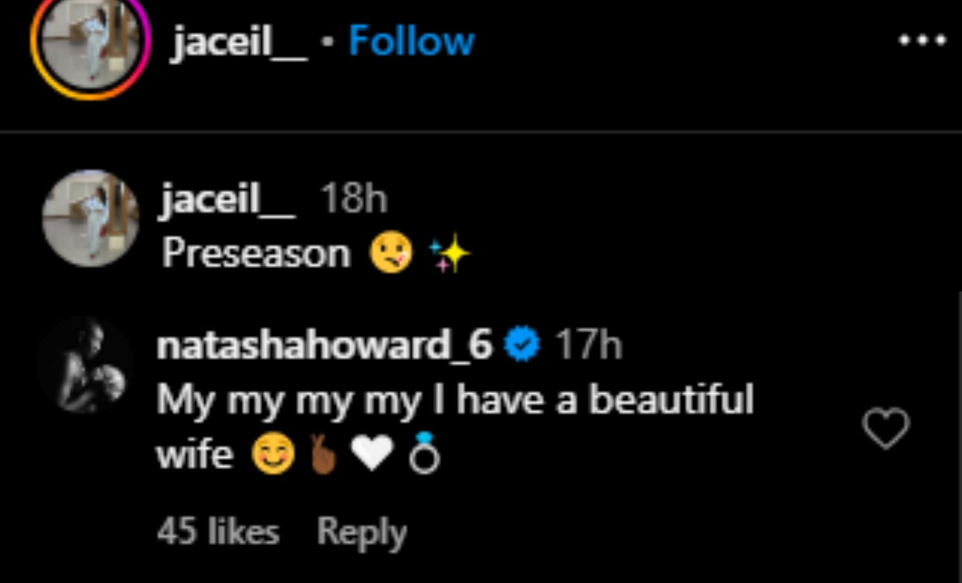 Natasha Howard's IG comment (via @jaceil__/Instagram)